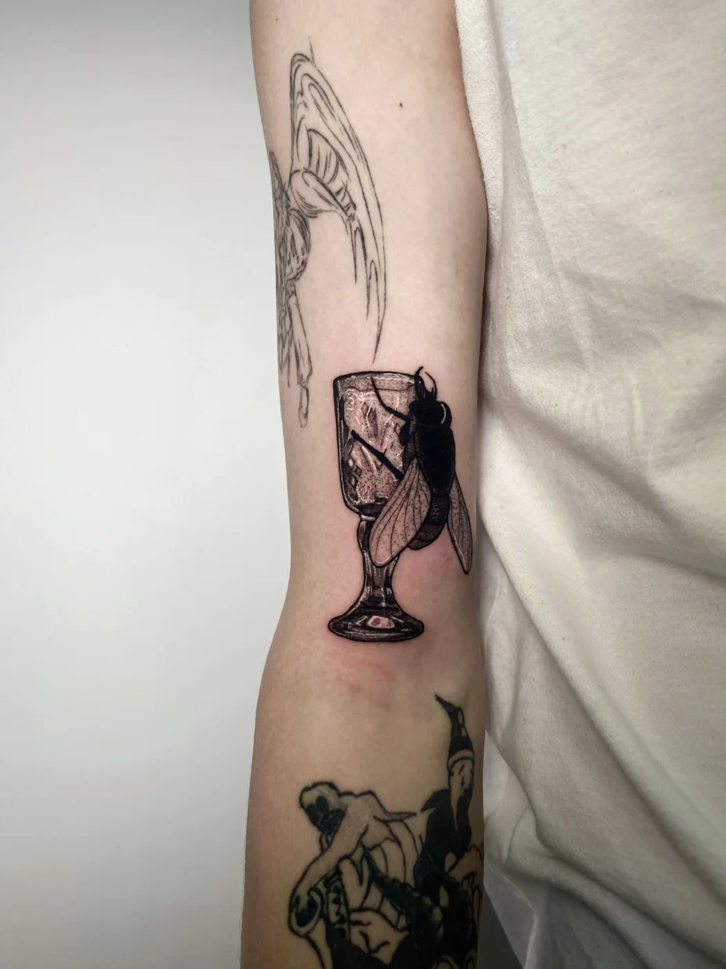 Александр С. — работа 14